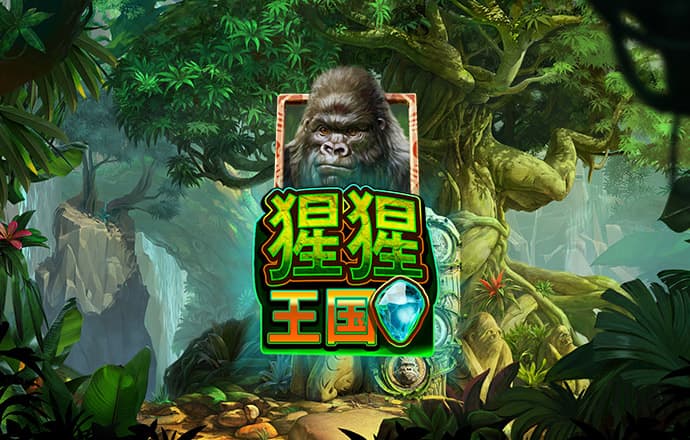 开元ky99988下载APP下载